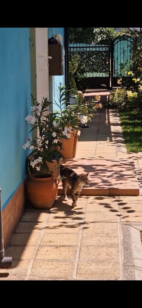 Модерна самостоятелна къща с морска панорама и отопляем басейн в Червенка, Черноморец