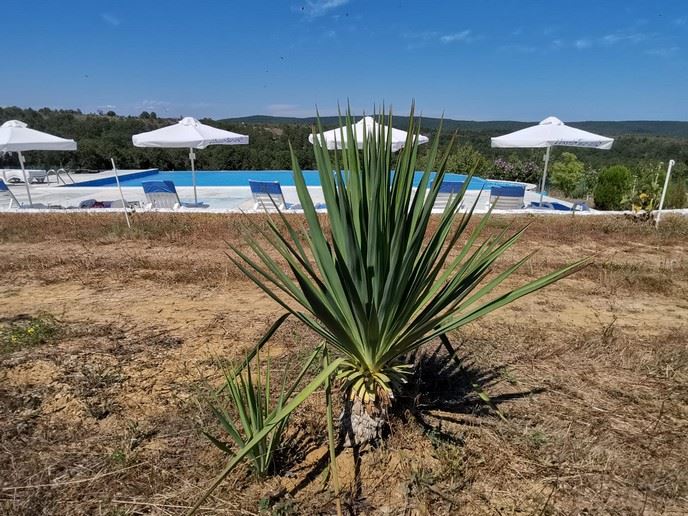 Просторна едноетажна къща с панорамни гледки в екокомплекс на Стара планина